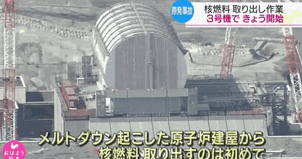 真有人每道选择题都做错!东芝:正是在下