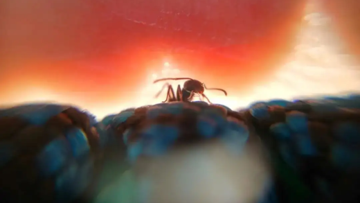 普通场景拍腻了，不如试试“小景”摄影