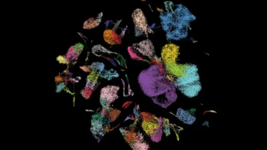 Nature发布2024年值得关注的七大技术 中国科学家成果首次入选