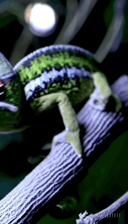 OpenAI文生视频大模型深度揭秘：真正也遥遥领先 无可追赶