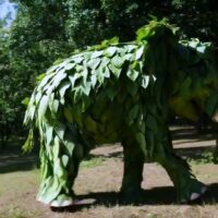 开发者再分享 OpenAI Sora 生成的短视频：树叶大象、彩虹瀑布等