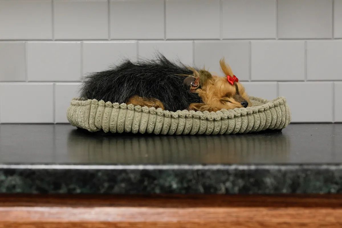 揭开谷歌神秘相机实验室面纱:模拟真实场景提高 Pixel 手机拍摄体验