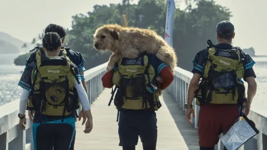 电影推荐：冠军亚瑟