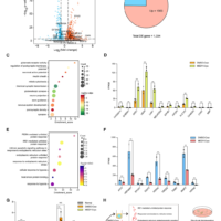 复旦团队重大突破登 Cell：破纪录复活冰封 18 个月人脑，《三体》云天明计划成真？
