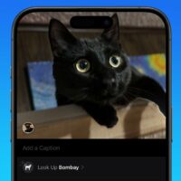 苹果 Safari 18 浏览器 AI 功能曝光：智能搜索、网页橡皮擦等