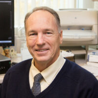 我们在进化吗？新研究揭示人类大脑越来越大