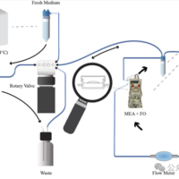 全球首个生物计算平台上线！16个类脑器官 能活100多天