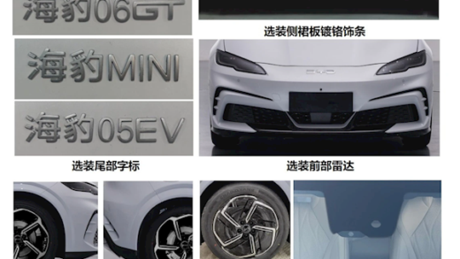 比亚迪纯电小钢炮！海豹X实车亮相：最大马力421匹