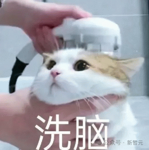 谷歌 DeepMind:GPT-4 高阶心智理论彻底击败人类!第 6 阶推理讽刺暗示全懂了