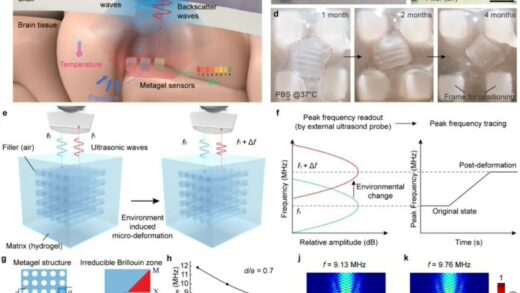 芝麻大小传感器、可注入体内并降解，华中科技大学成果登《Nature》