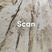 可在线打造 AR 模型场景，《宝可梦 GO》开发商推出免费网页工具 Niantic Studio