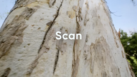 可在线打造 AR 模型场景，《宝可梦 GO》开发商推出免费网页工具 Niantic Studio