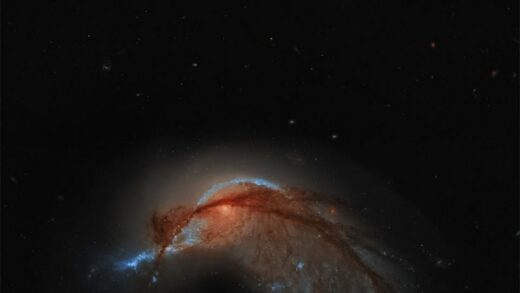 庆祝韦布望远镜两周年，NASA 公布 Arp 142 星系“企鹅”与“蛋”新照片