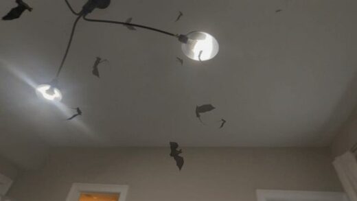 苹果已修复，Vision Pro 头显新漏洞披露：可实现满屏蝙蝠和蜘蛛