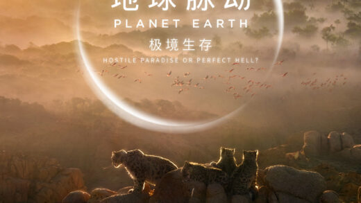 豆瓣均分 9.7 纪录片，BBC《地球脉动》系列首部大电影国内定档 7 月 27 日