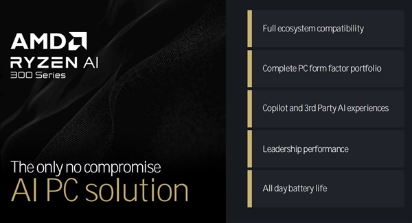 三大架构革新!AMD锐龙9000/锐龙AI 300处理器解析