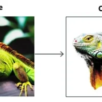 亚马逊文生图 AI 模型 Titan Image Generator 升至 V2 版：可修改 / 编辑细节