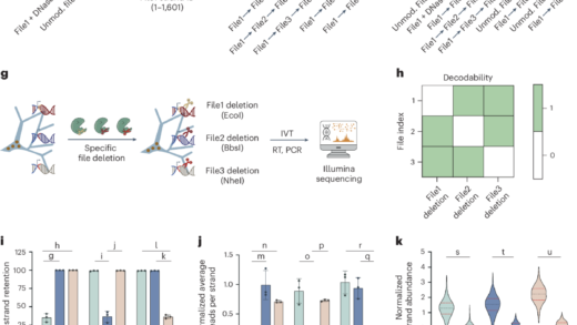 DNA”计算机”能解决数独问题 并将大量数据存储千年