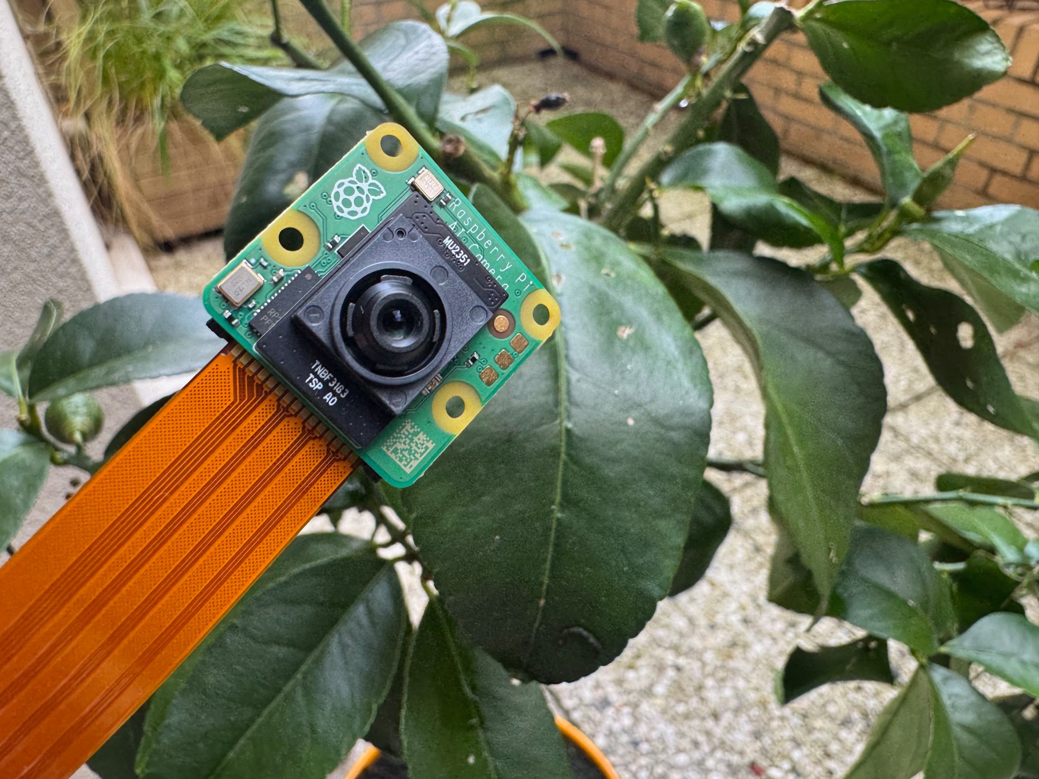 Raspberry-Pi-AI-Camera-1(1).jpg