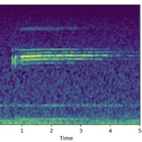 谷歌公布鲸鱼声音识别 AI 科研模型，可辨别 8 种不同鲸群