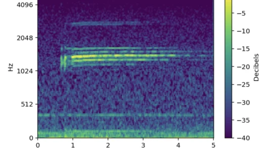 谷歌公布鲸鱼声音识别 AI 科研模型，可辨别 8 种不同鲸群