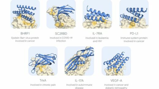 谷歌 AlphaProteo AI 模型登场：突破蛋白质结合剂设计挑战，献给人类的厚礼
