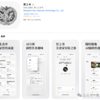 17岁开发AI应用 4个月入账700万 开学第一天晒账单火了