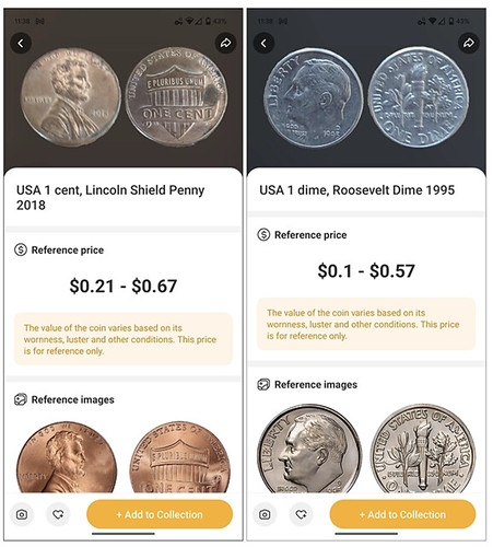 教老外认花花草草 就能月入8000万