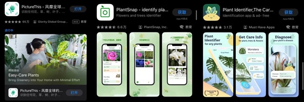 教老外认花花草草 就能月入8000万