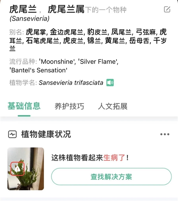 教老外认花花草草 就能月入8000万