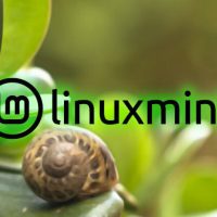 Linux Mint 正为 Cinnamon 桌面环境添加 Night Light 原生支持：提高稳定性、支持 Wayland