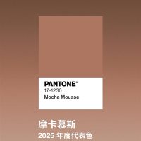 潘通2025年度代表色摩卡慕斯发布！联想moto razr 50 Ultra限定版要用