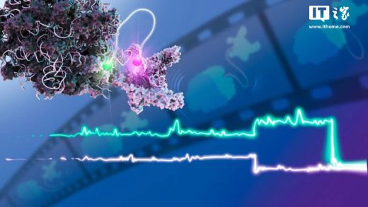 科学家首次拍摄到“分子电影”，揭示细胞转录和翻译如何相互作用