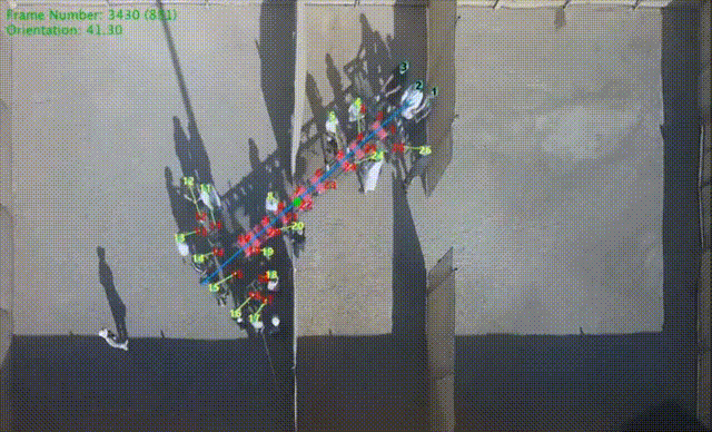 蚂蚁群组团最强AGI,破解几何难题完爆人类!群体智能登顶PNAS