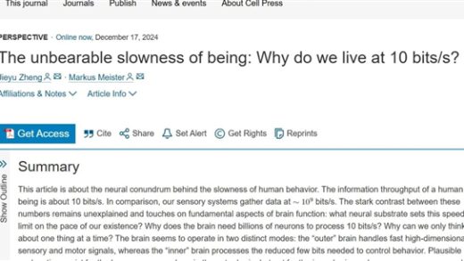 人类思维的速度竟然只有每秒10比特！这么慢 怎么活