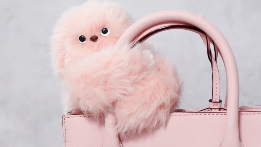 模仿婴儿的好奇心：陪伴型机器人“Mirumi”问世