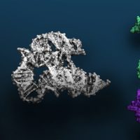 免费！NVIDIA祭出全球最大基因研究AI系统：9兆个基因信息