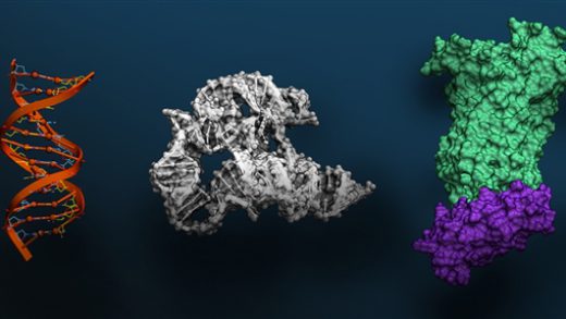 免费！NVIDIA祭出全球最大基因研究AI系统：9兆个基因信息