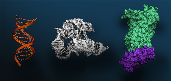 免费!NVIDIA祭出全球最大基因研究AI系统:9兆个基因信息
