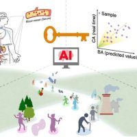 AI 助力，新研究只用 5 滴血就能测出你的真实生理年龄