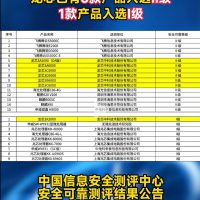 国产CPU安全可靠测评结果发布！龙芯6款入围最高等级II级 华为3款入选