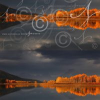 谷歌 Gemini 2.0 Flash 模型拥有强大图片去水印功能，或触犯版权红线