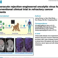 中国科学家改造病毒：能精准、有效杀死癌细胞！