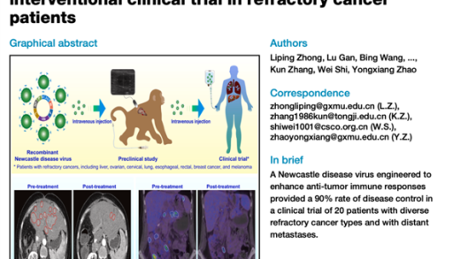 中国科学家改造病毒：能精准、有效杀死癌细胞！