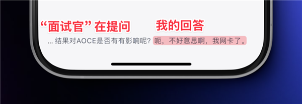 现在的面试作弊能有多简单 我买了个外挂试了下