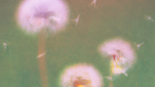 OpenAI 宣布为行业创建定制 AI 基准的计划