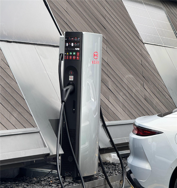 1100匹只卖27.98万 是我瞎了还是比亚迪疯了