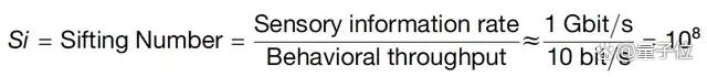人类一生所学不过4GB，加州理工顶刊新研究引热议
