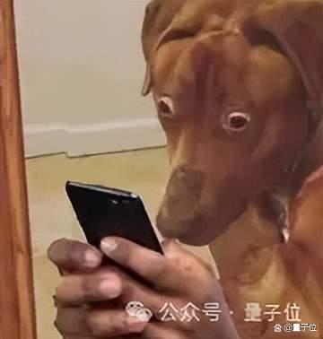 人类一生所学不过4GB，加州理工顶刊新研究引热议