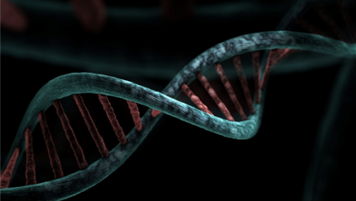 北大团队研发！全球首个基因挖掘大模型问世